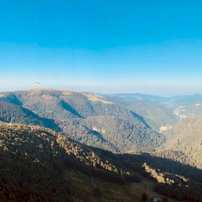 METTY - Photos Facebook 2021