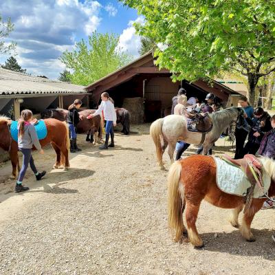 JUMENT VERTE - du 15 au 22 04 - 100% cavaliers