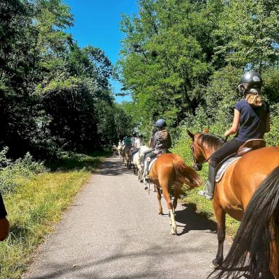 100% cavaliers - &eacute;t&eacute; 2025