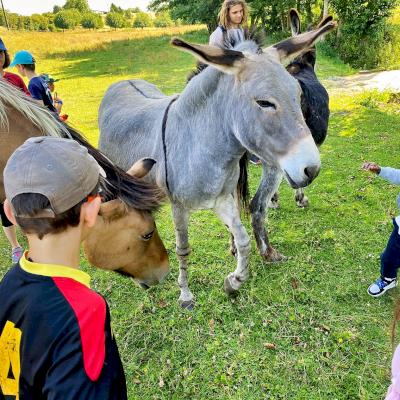 ARGUEIL - Mes vacances, mon chateau, mes copains - du 08 07 au 12 07 2022