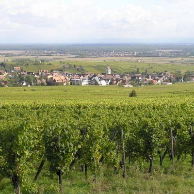 Le Mittel