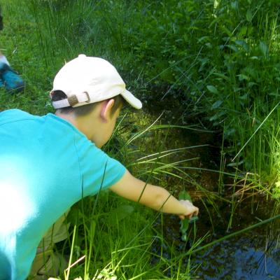Animations au bord de l'eau